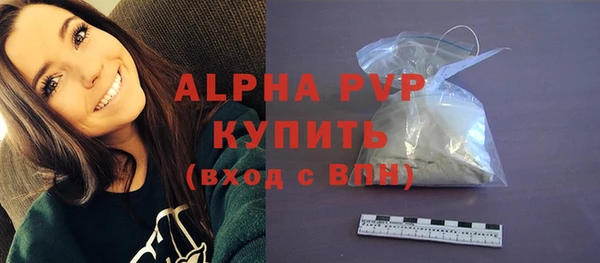 ПСИЛОЦИБИНОВЫЕ ГРИБЫ Иннополис