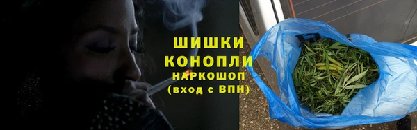 ПСИЛОЦИБИНОВЫЕ ГРИБЫ Иннополис