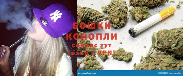 ПСИЛОЦИБИНОВЫЕ ГРИБЫ Иннополис