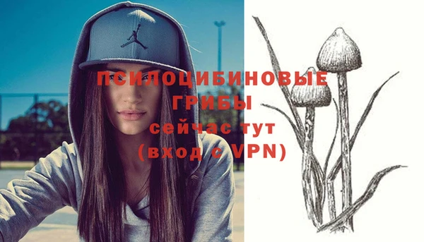 ешки Инсар