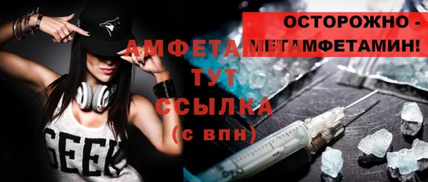 ПСИЛОЦИБИНОВЫЕ ГРИБЫ Иннополис
